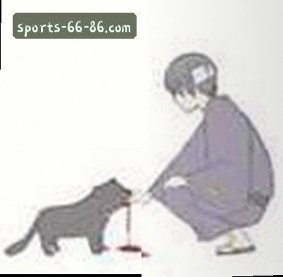 何珊